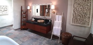 Villa 5 master bathroom basin toilet new (1)